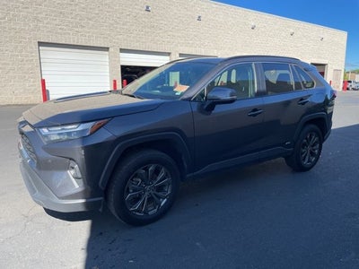2024 Toyota RAV4 Hybrid XLE Premium AWD W/ Weather and Tech Pkg.