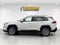 2023 Toyota RAV4 Limited FWD W/ Weather Pkg.
