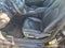 2024 Toyota Camry XLE W/ Cold Weather Pkg.