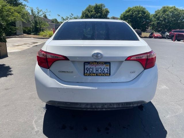 2019 Toyota Corolla LE Sedan