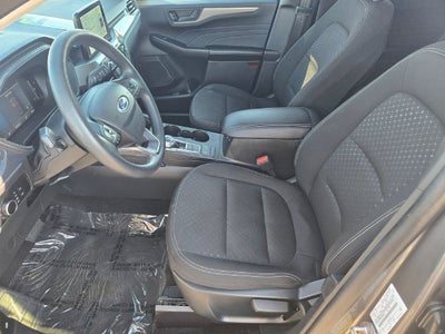 2025 Ford Escape Active AWD