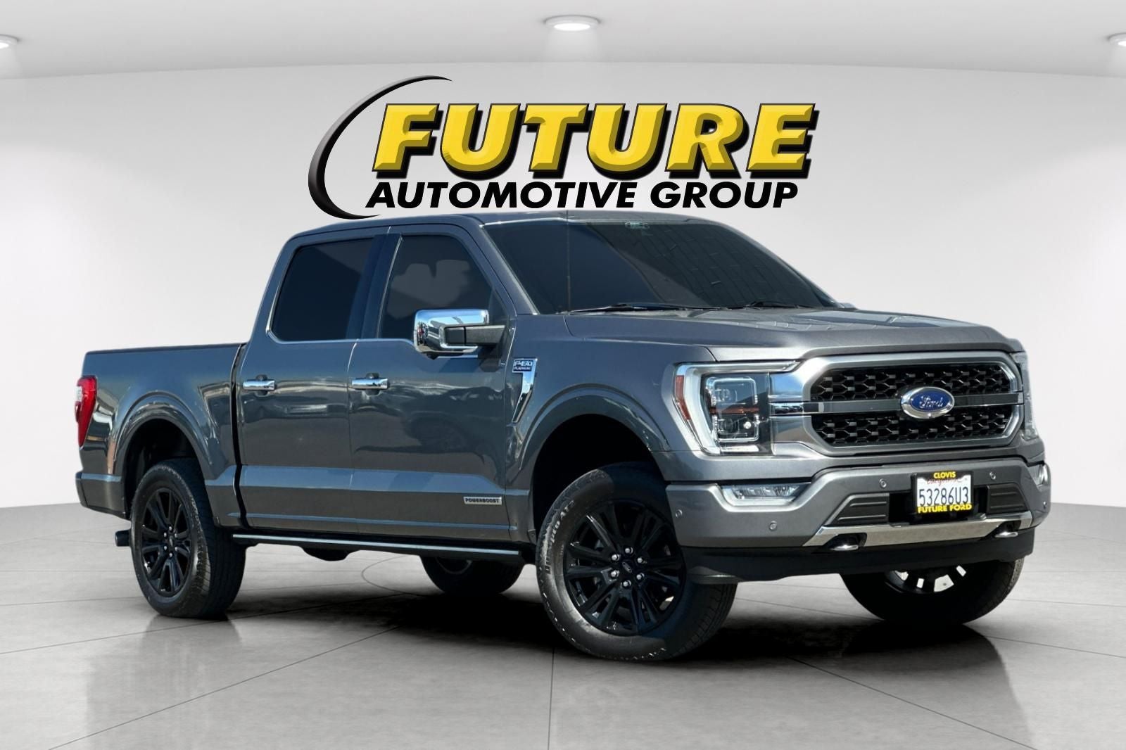 2022 Ford F-150 Platinum 4WD