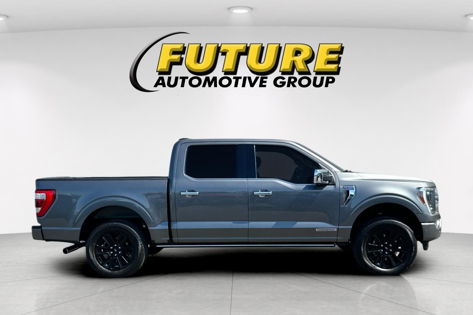 2022 Ford F-150 Platinum 4WD