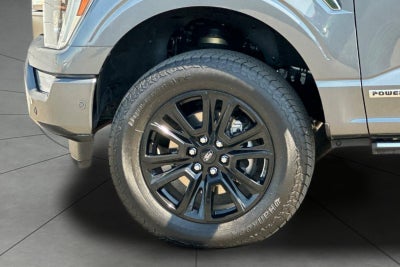 2022 Ford F-150 Platinum 4WD
