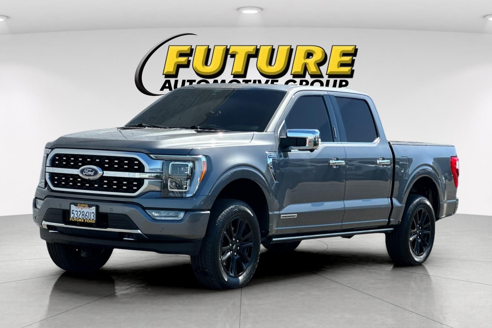 2022 Ford F-150 Platinum 4WD