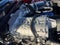 2014 Ford Mustang Shelby GT500 Coupe SVT Track Package