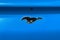 2023 Ford Mustang Mach-E Premium EXT RANGE