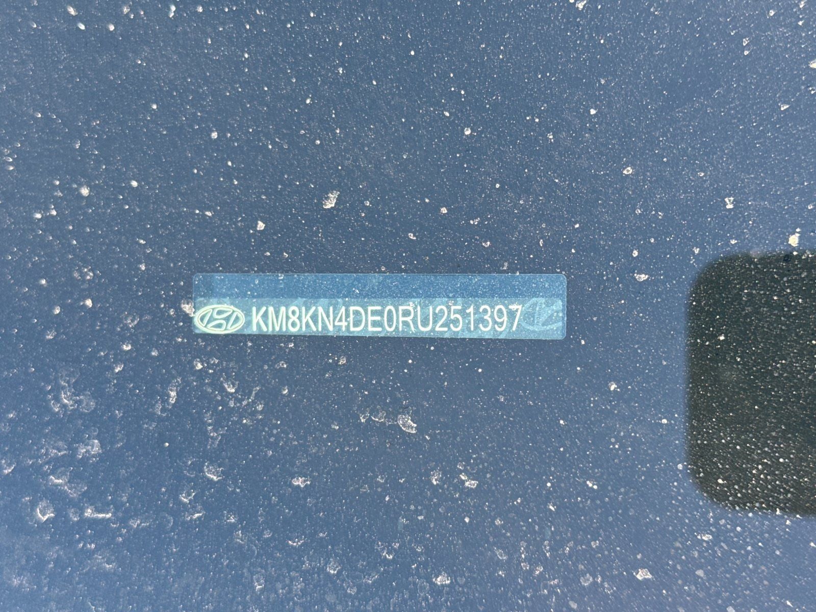 2024 Hyundai IONIQ 5 SEL