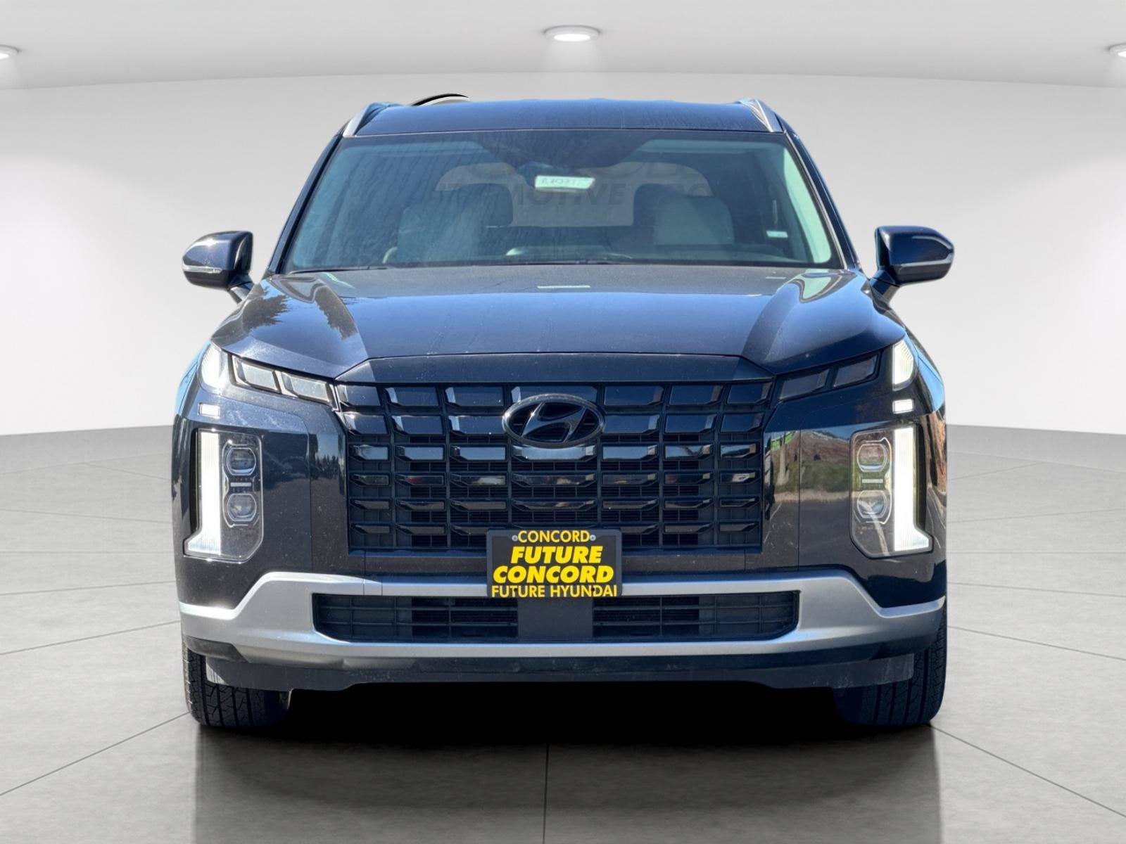 2024 Hyundai Palisade SEL 7 Passenger