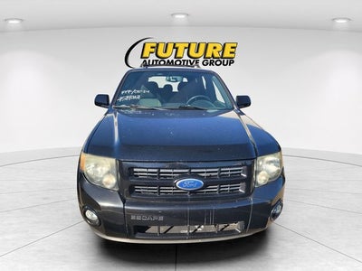 2010 Ford Escape XLT