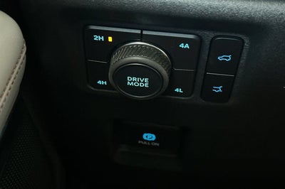 2025 Ford Expedition Max Active 4WD