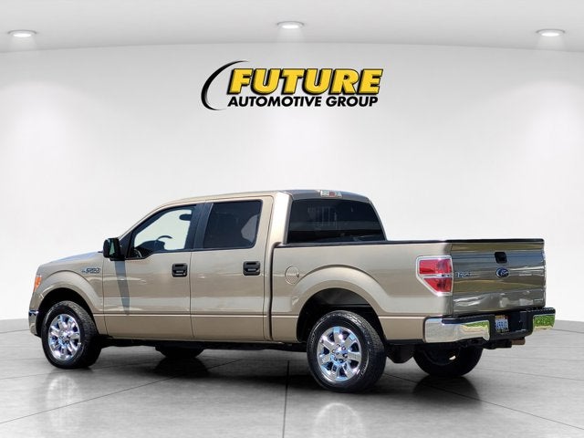 2013 Ford F-150 XLT